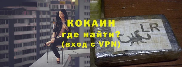 прущие грибы Гусь-Хрустальный