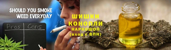 тгк Гусиноозёрск