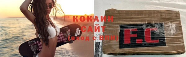 прущие грибы Гусь-Хрустальный