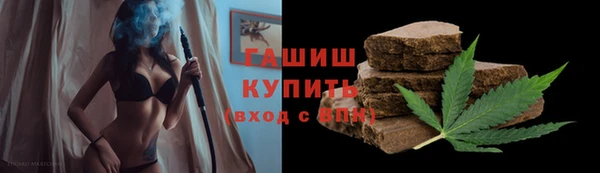 прущие грибы Гусь-Хрустальный