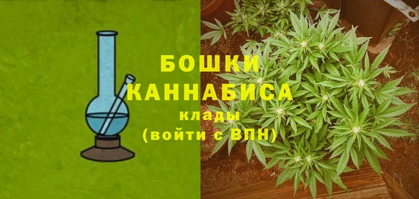 прущие грибы Гусь-Хрустальный