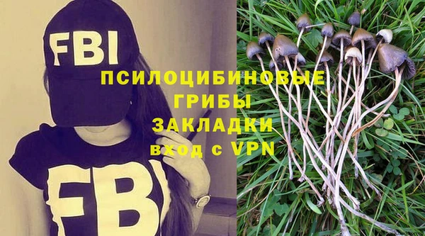 тгк Гусиноозёрск
