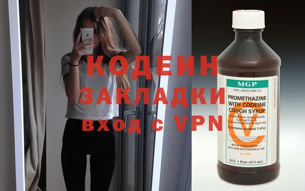 прущие грибы Гусь-Хрустальный